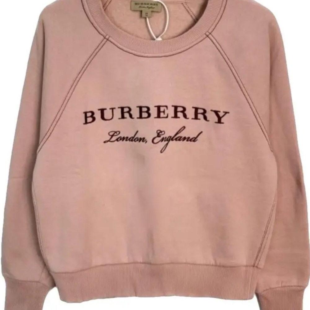 Burberry Women's L Sweatshirt ( great for S-L) pre-owned